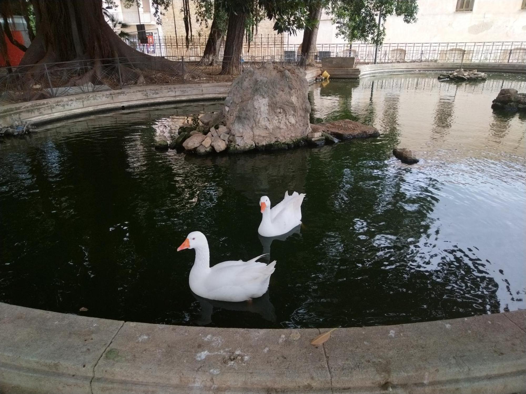 Villa La Casuzza Del Centro Sciacca Exterior foto